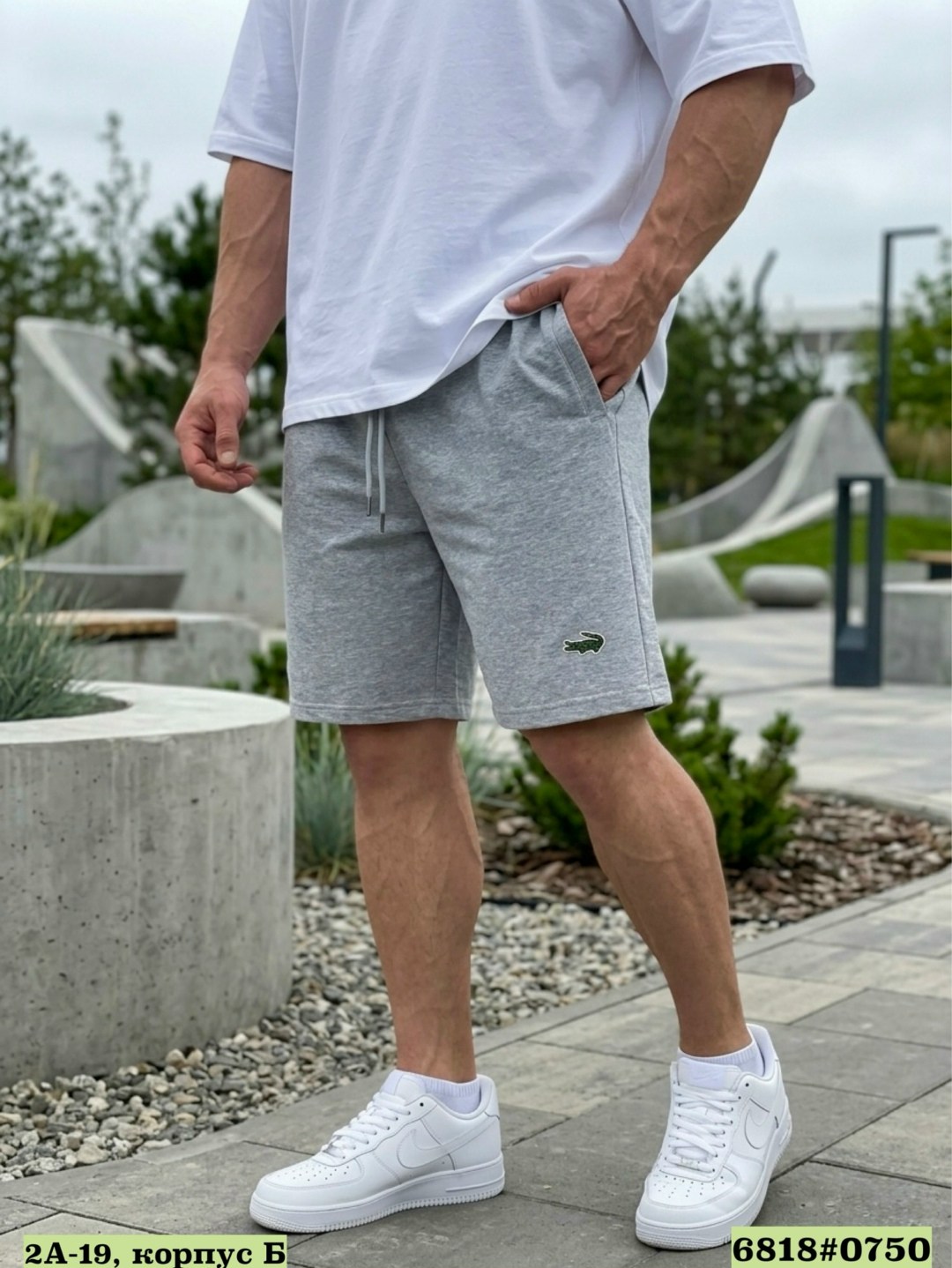 шорты мужские,спортивные шорты,шорты lacoste,мужские спортивные шорты,серые шорты