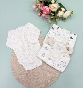 Боди