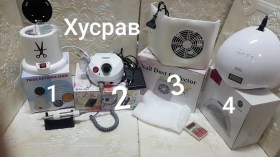 Одежда