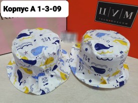 Кепка