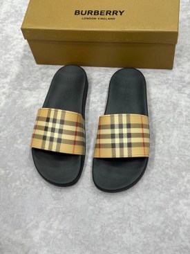 Сланцы