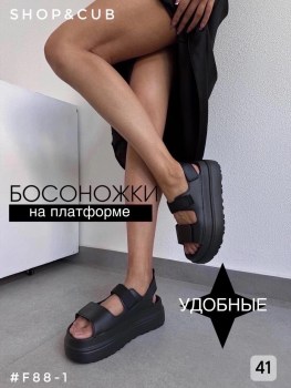 Одежда