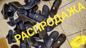 Одежда