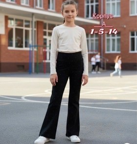 Штаны