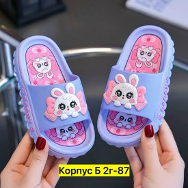 Сланцы
