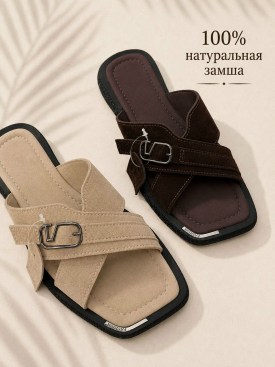 Сланцы