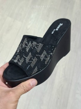 Сланцы