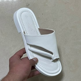 Сланцы