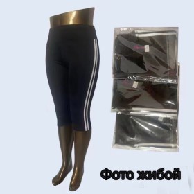Лосины