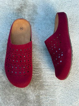 Сланцы