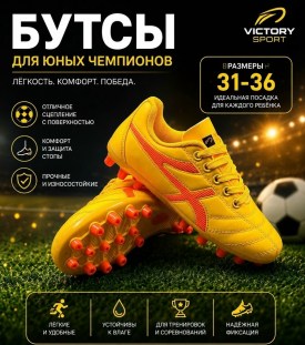 Одежда