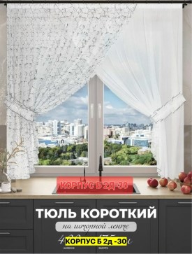 Одежда