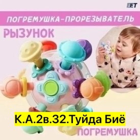 Одежда
