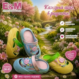 Сланцы