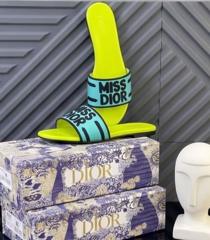 шлепанцы пляжные,шлепанцы christian dior,,шлепанцы женские,шлепки женские