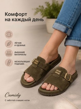Сланцы