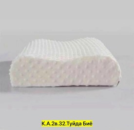 Одежда