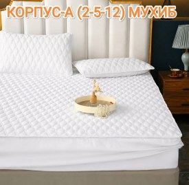 Одежда
