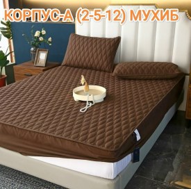 Одежда