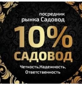 Одежда