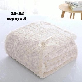 Одежда