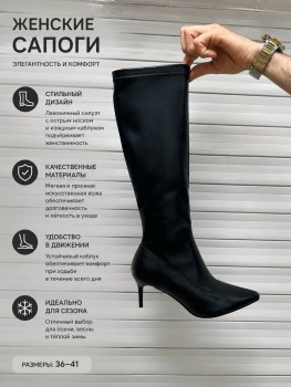 Сапоги