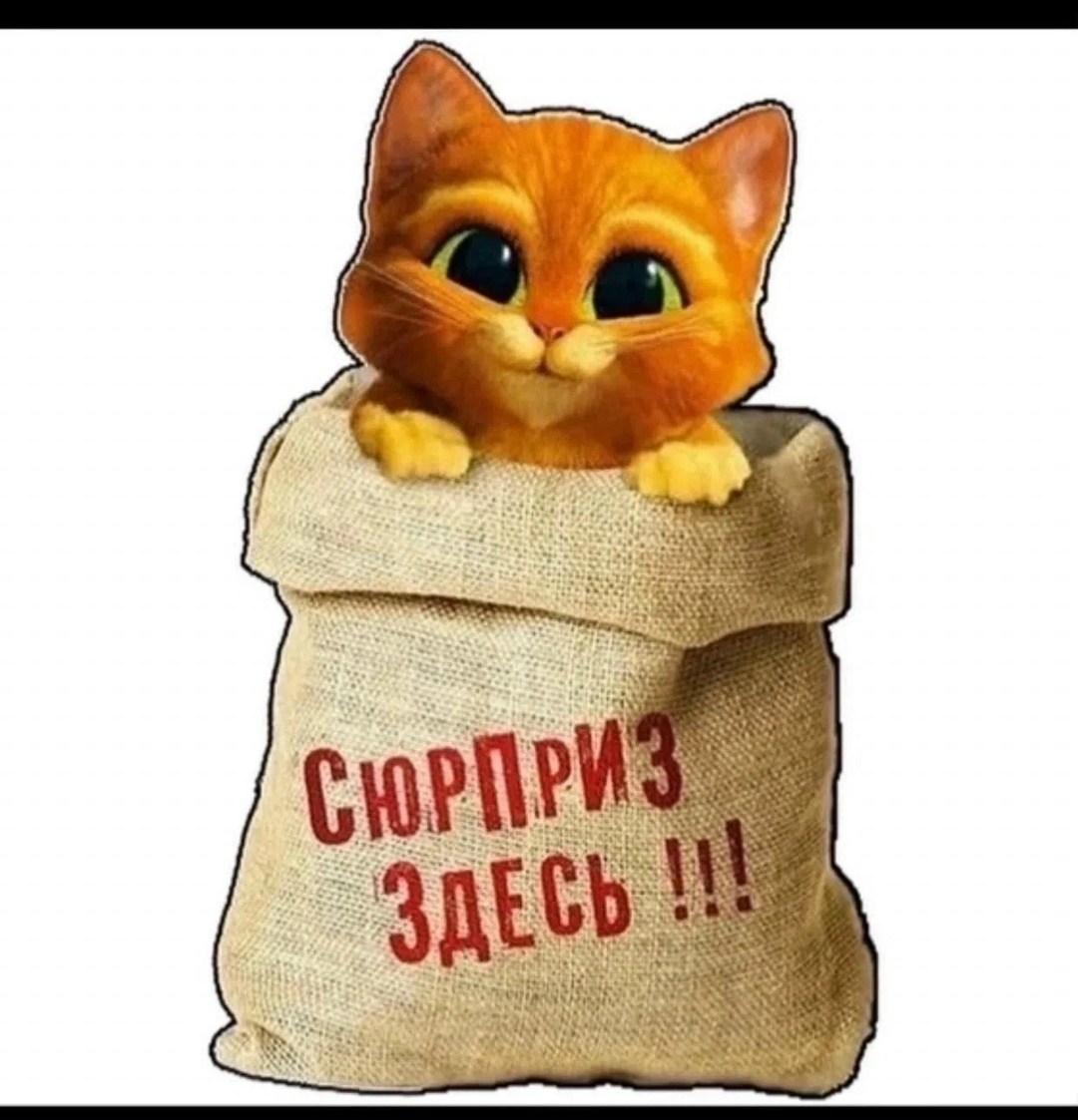 мешок пп,мешок белый,мешка,комбикорм в мешках