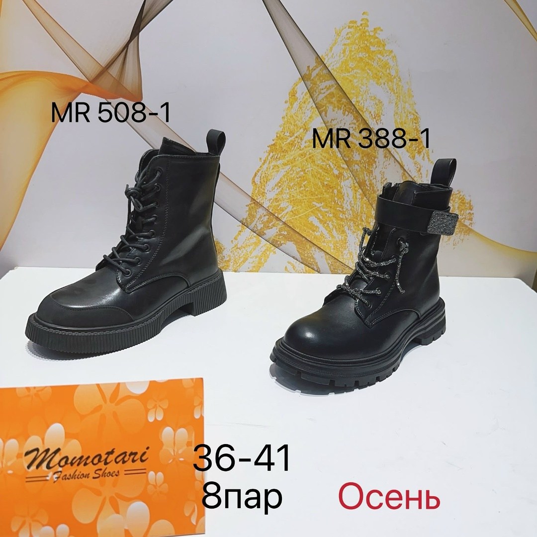 ,женские ботинки,женская ,обуви,демисезонная
