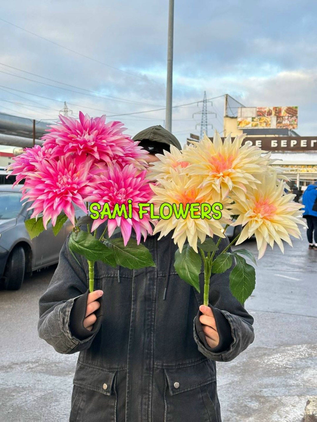 dahlia flower,георгина цветок,георгин,георгина растение,георгина дарк хорс
