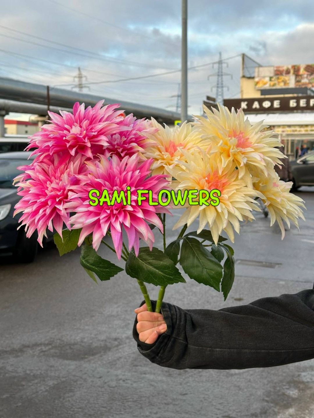 dahlia flower,георгина цветок,георгин,георгина растение,георгина дарк хорс
