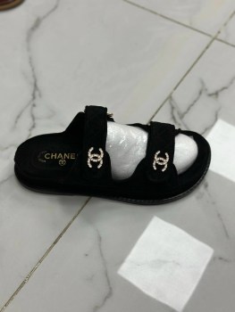 Сланцы