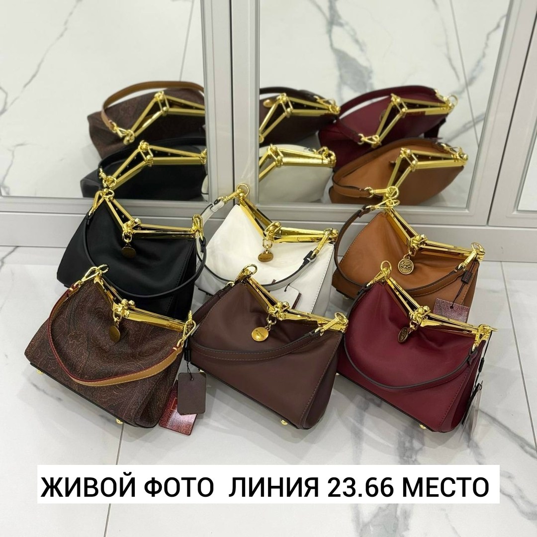 сумка,женские аксессуары,сумка женская,сумка etro,коричневая сумка