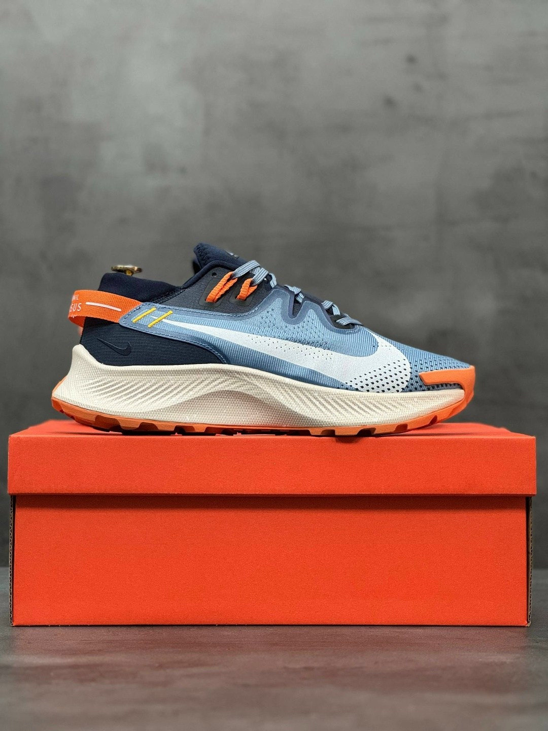 кроссовки nike pegasus trail,nike pegasus trail 2,nike pegasus trail,nike pegasus trail 4 gore tex,кроссовки nike pegasus