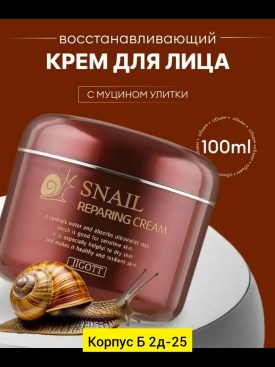 Одежда
