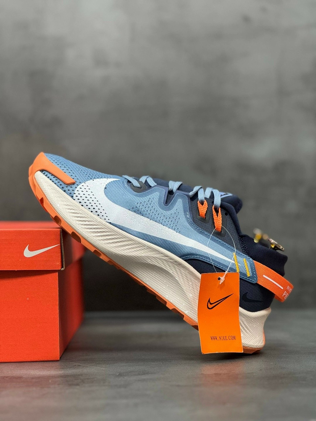 кроссовки nike pegasus trail,nike pegasus trail 2,nike pegasus trail,nike pegasus trail 4 gore tex,кроссовки nike pegasus