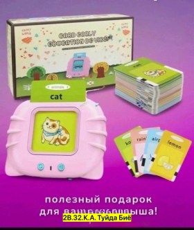 Одежда