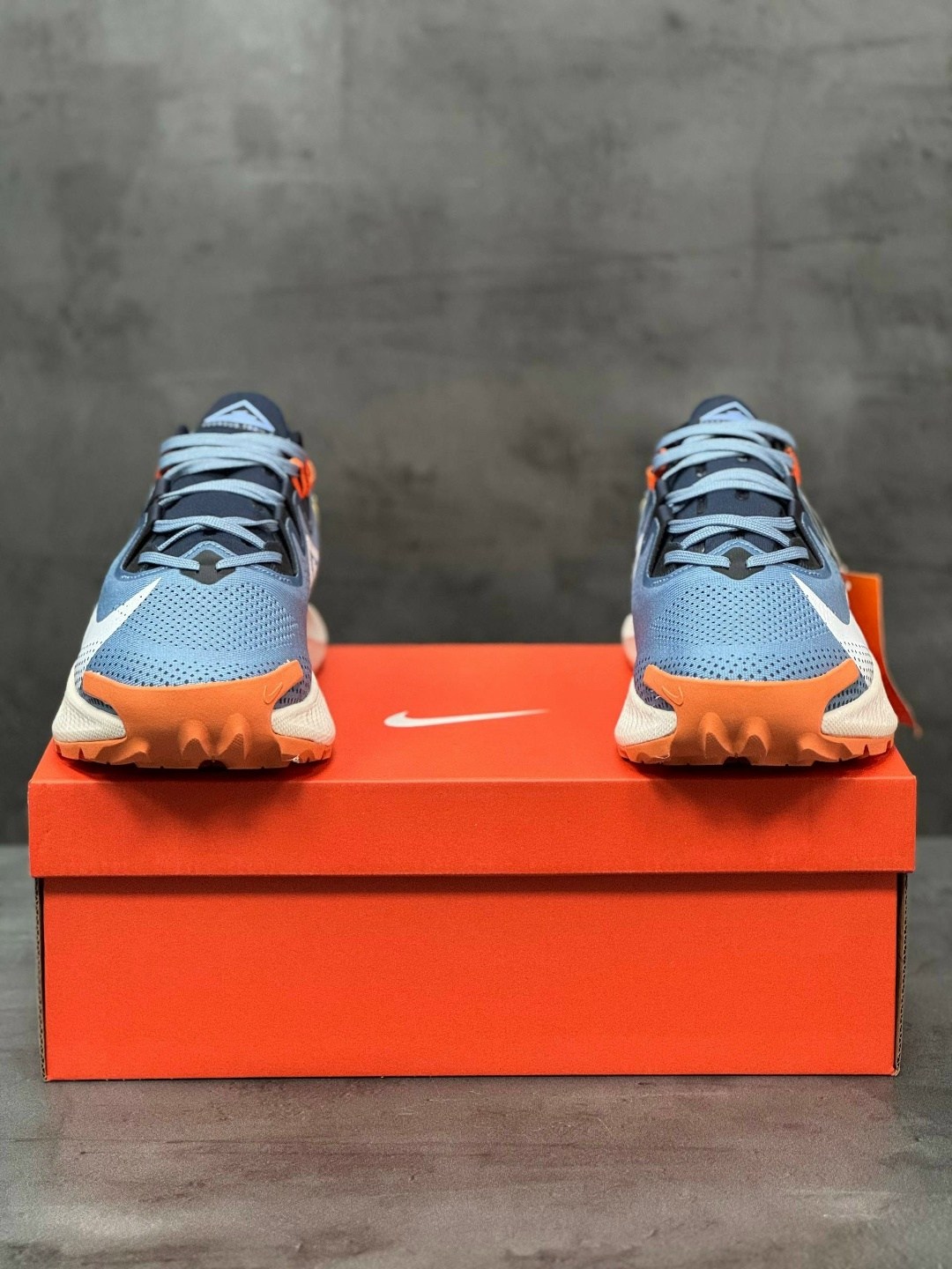 кроссовки nike pegasus trail,nike pegasus trail 2,nike pegasus trail,nike pegasus trail 4 gore tex,кроссовки nike pegasus