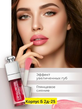 Одежда