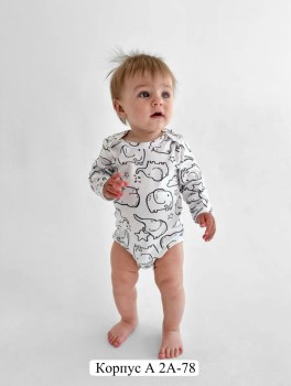 Боди