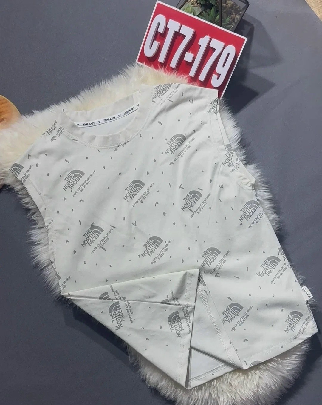 футболка the north face,футболка,детская футболка,женская футболка