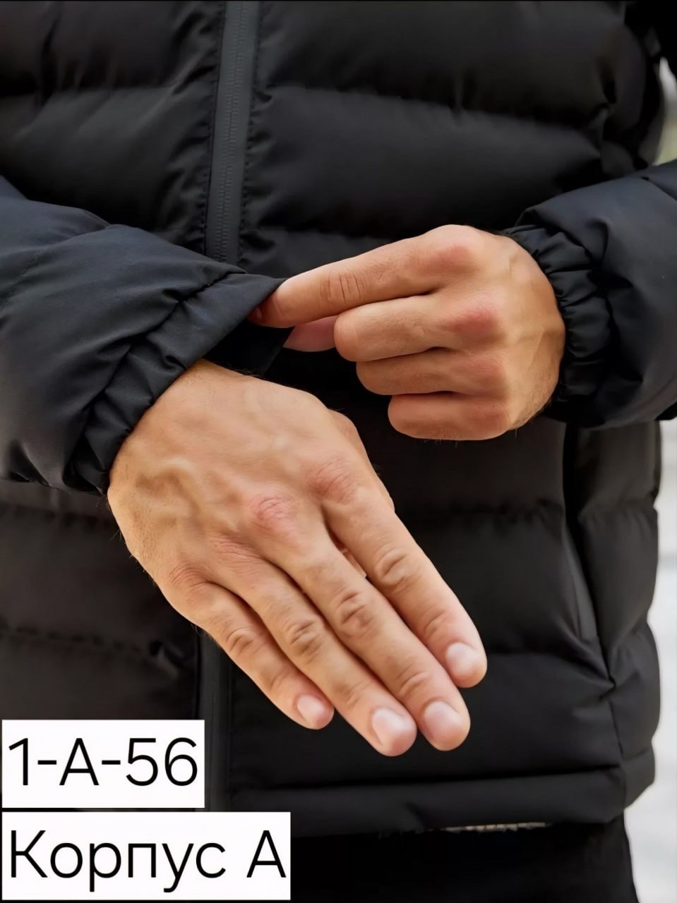 пуховик the north face,куртка пуховик the north face,куртка зимняя мужская,куртка мужскaя демисезонная,мужские пуховики the north face