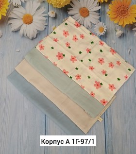 Одежда