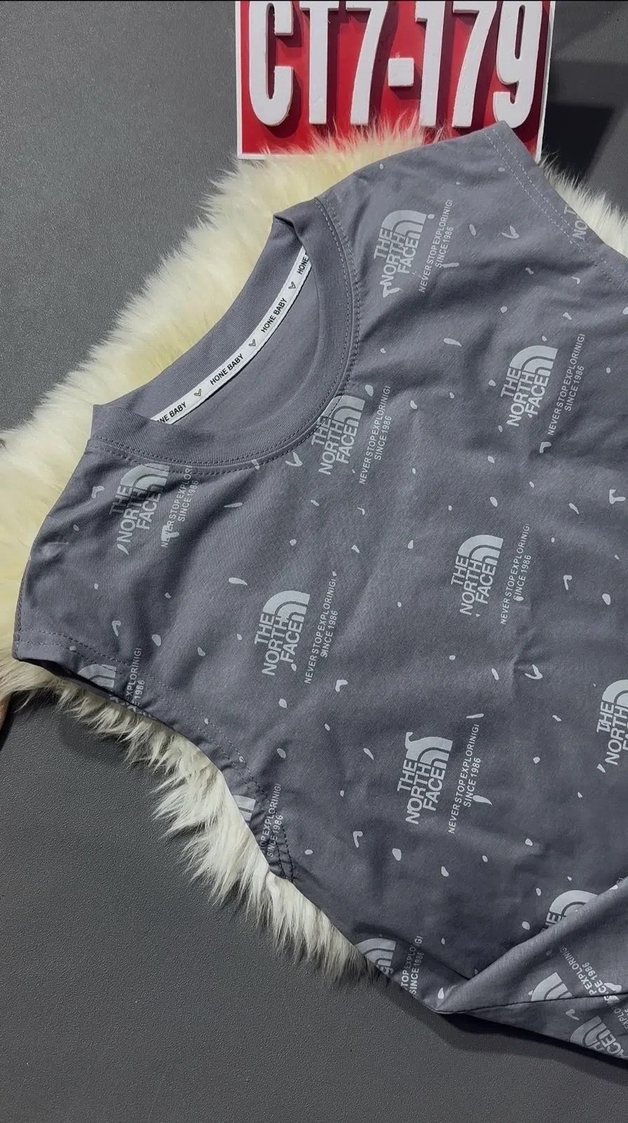 футболка the north face,футболка,детская футболка,женская футболка