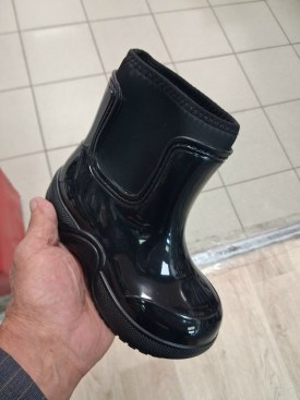 Сапоги