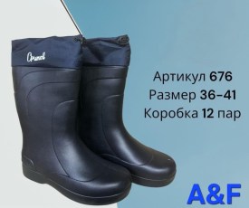 Сапоги