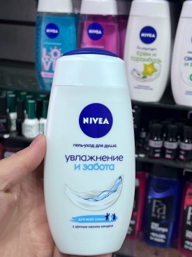 Одежда