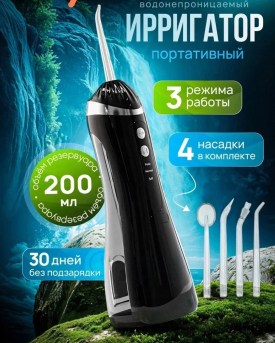 Одежда