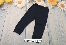 Штаны