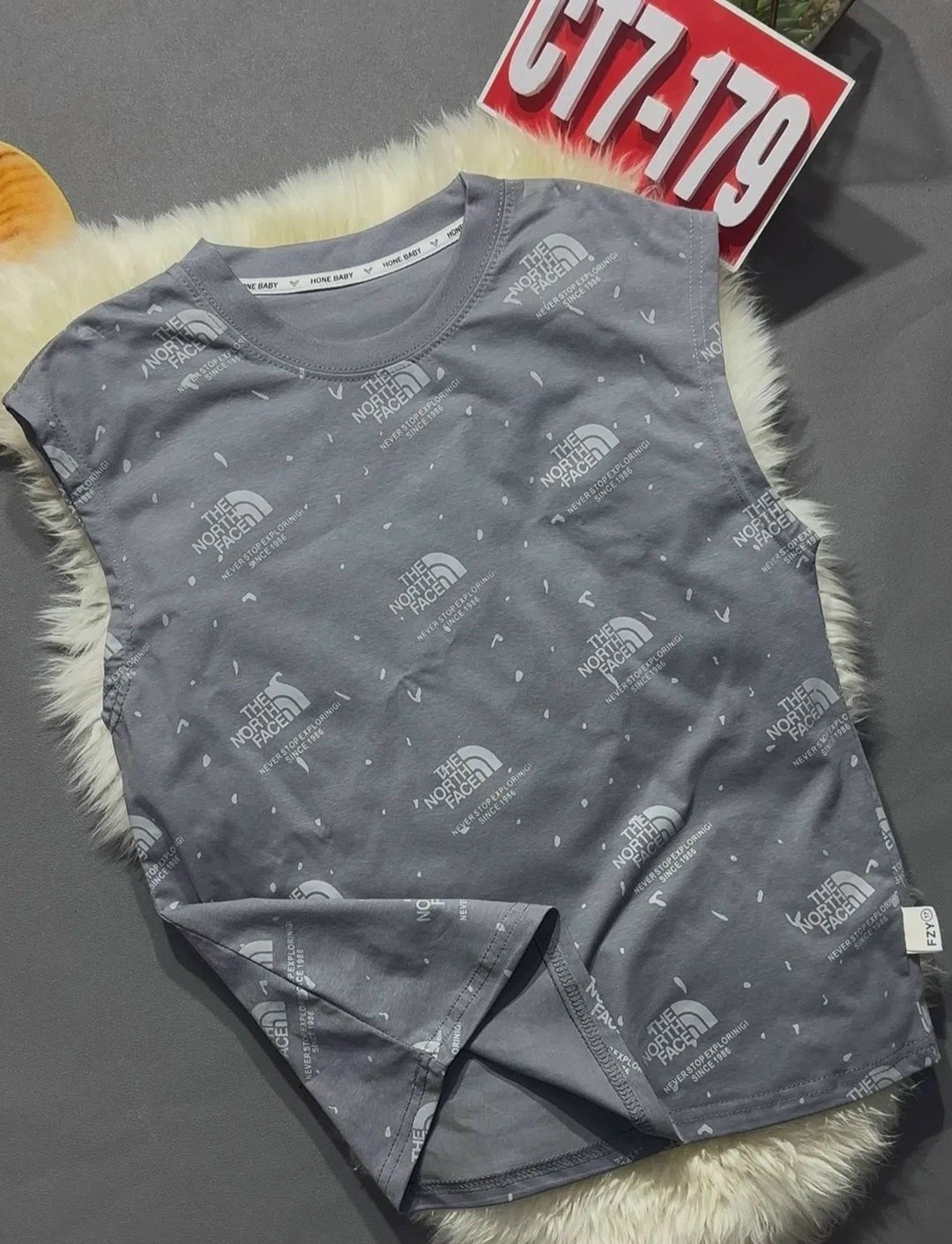 футболка the north face,футболка,детская футболка,женская футболка
