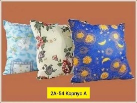 Одежда